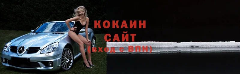 где можно купить наркотик  Каменка  COCAIN FishScale 